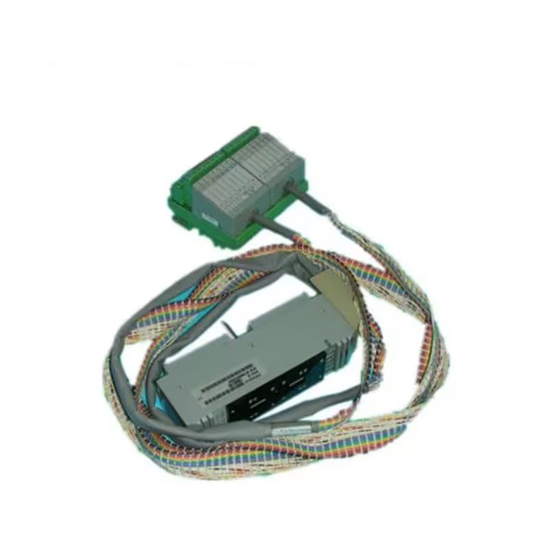Foxboro P0700HU Termination Cable Assembly