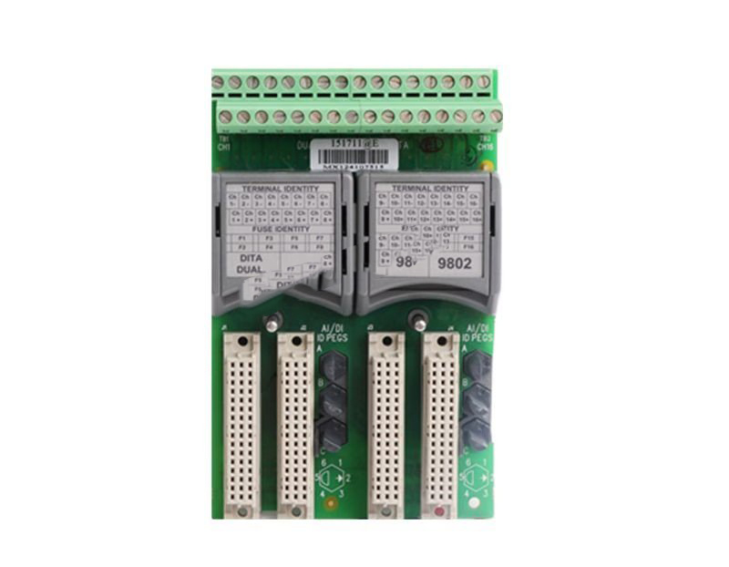 ICS Triplex T9802 Dual-Channel Digital Input Module