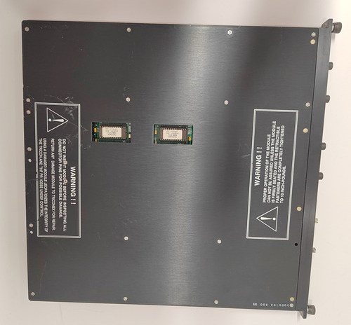 TRICONEX 4200 Remote Expander Module Detailed Technical Overview