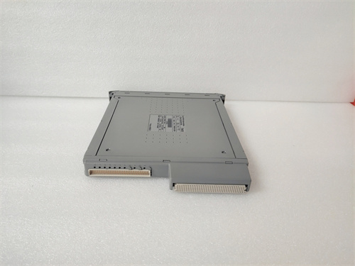 ICS TRIPLEX T8403CX Product Overview