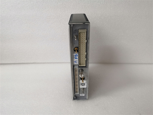 TRICONEX 3481 Product Introduction