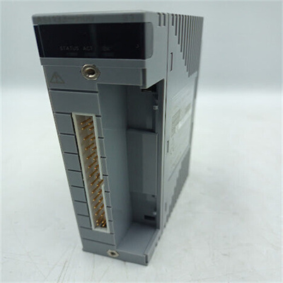 YOKOGAWA ASI133-H0Q Detailed Introduction