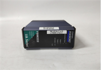 Foxboro FBM202