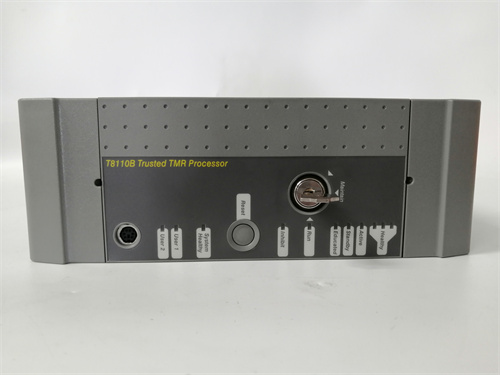 ICS TRIPLEX T8110B