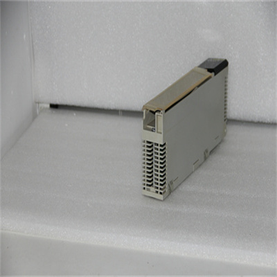 SCHNEIDER 140CHS11000 Product Overview