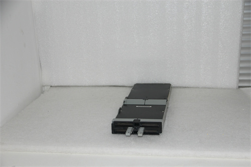 FOXBORO P0400YE Product Overview