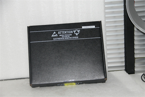 GE DS200DC Product Details