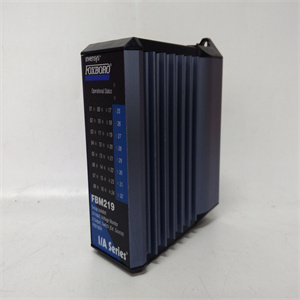 Foxboro FBM219