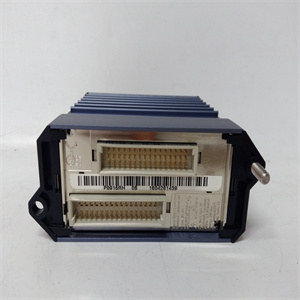 Foxboro FBM219 Product Overview