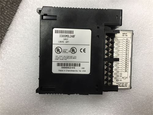 GE IC693MDL240 Detailed Information