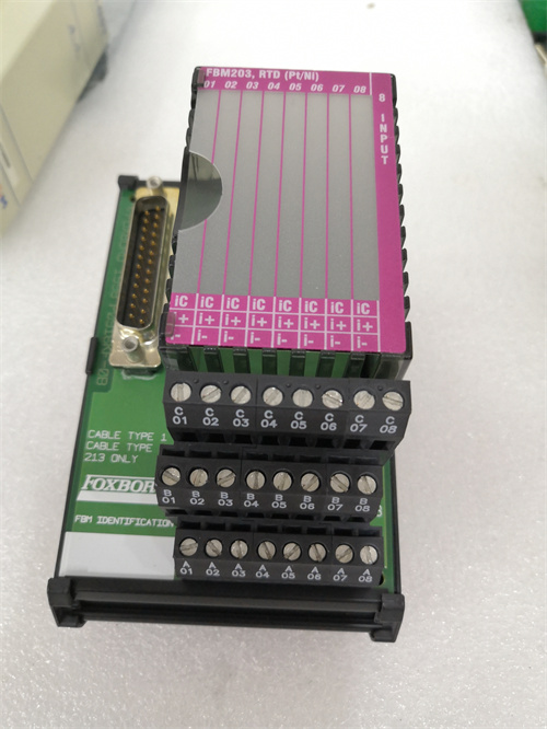 Foxboro FBM203 P0916AE