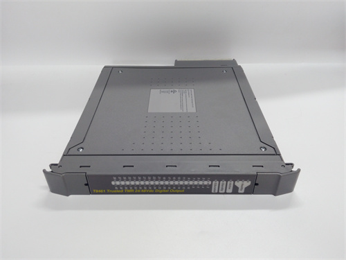 ICS TRIPLEX T8461 Product Introduction