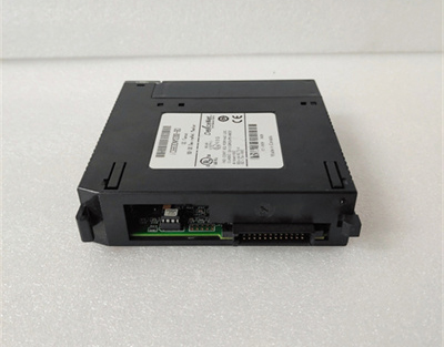 GE IC693DNM200-BD Product Introduction