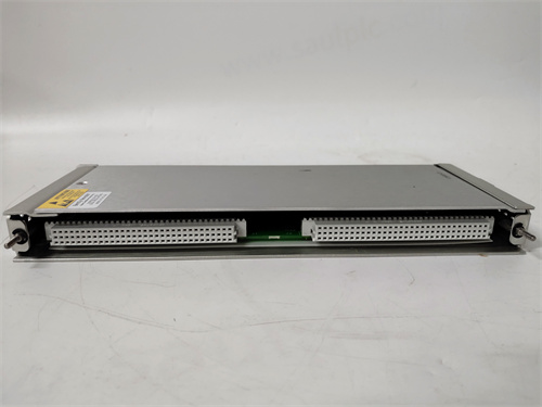 BENTLY 125680-01 Product Introduction