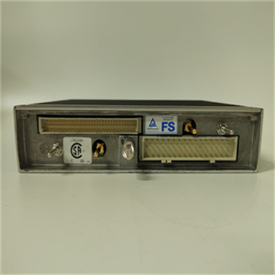 TRICONEX EPI3382 Detailed Information