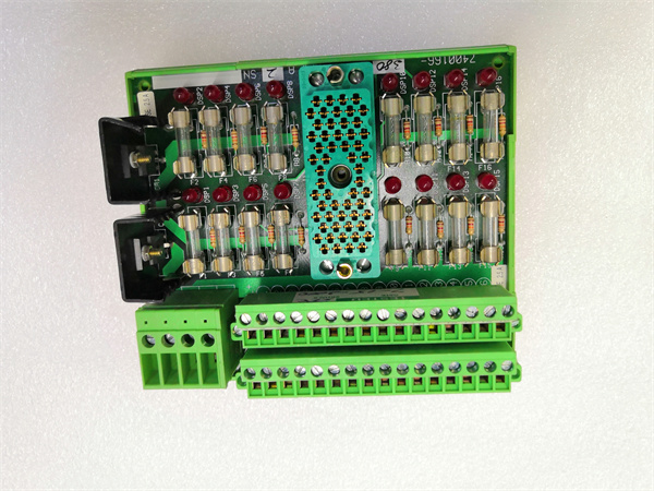 TRICONEX 9662-810