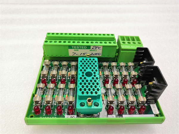 TRICONEX 9662-810