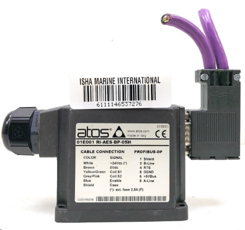 ATOS 01E001 RI-AES-BP-05H Product Introduction