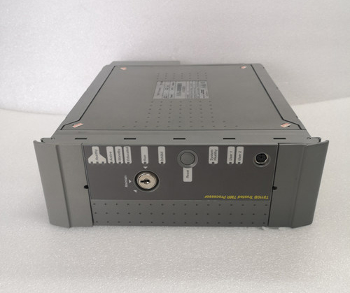 ICS TRIPLEX T810B Processor Product Overview